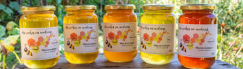 gamme de miels